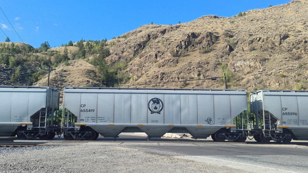 CP 655419